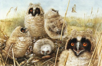 動物 Painting - 小さなフクロウ鳥